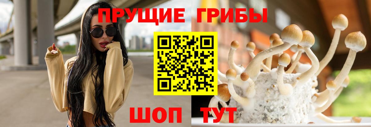 Галлюциногенные грибы прущие грибы  Вход с VPN  Зеленогорск  Галлюциногенные грибы ЛСД 